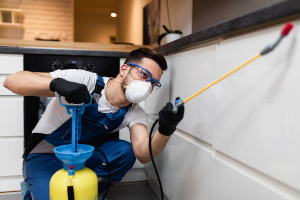 Best Commercial Pest Control Services  in Grove City, OH