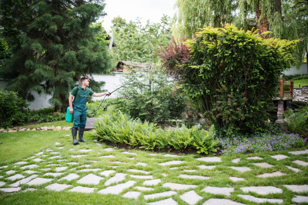 Bird Control in Grove City, OH