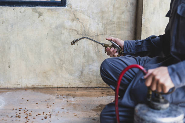 Best Emergency Pest Control  in Grove City, OH